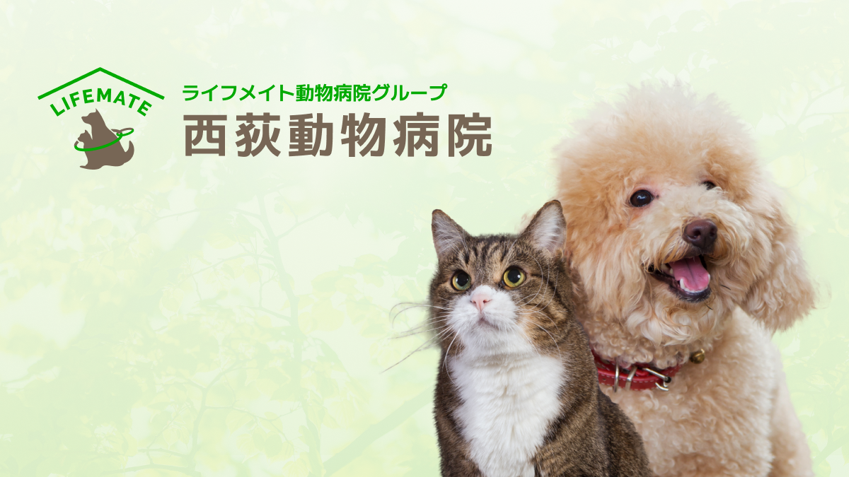 西荻動物病院の外観